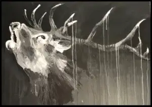 Stag roaring