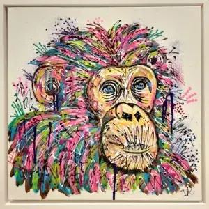 Bella The Chimpanzee