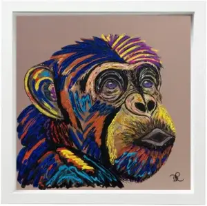 Chester The Chimpanzee